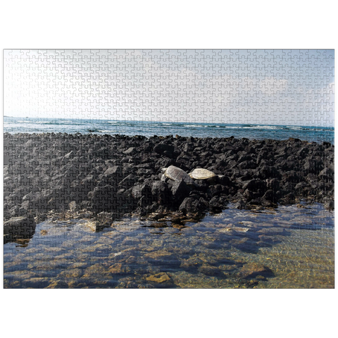 puzzleplate Hawaii, The Big Island: Sea Turtle Pair 1000 Jigsaw Puzzle