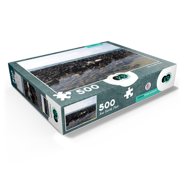 Hawaii, The Big Island: Sea Turtle Pair 500 Jigsaw Puzzle box view1