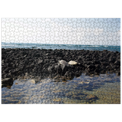 puzzleplate Hawaii, The Big Island: Sea Turtle Pair 500 Jigsaw Puzzle