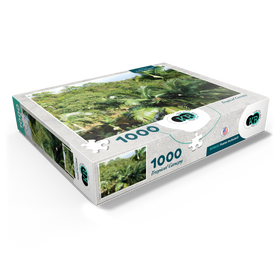 1000
