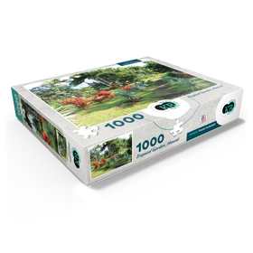 1000