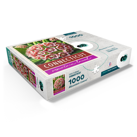 1000