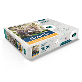 1000