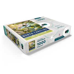 1000