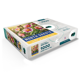 1000