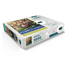 1000