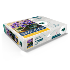 1000