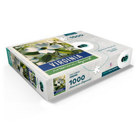 1000