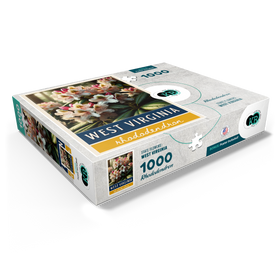 1000