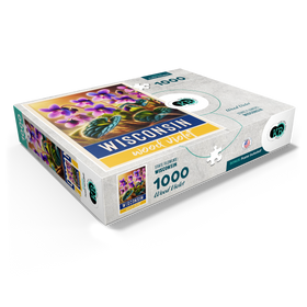 1000