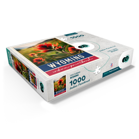 1000