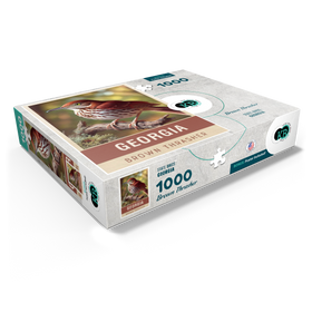1000