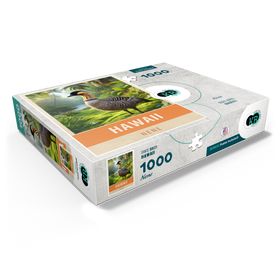 1000