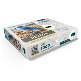 1000