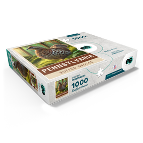 1000