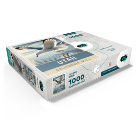 1000