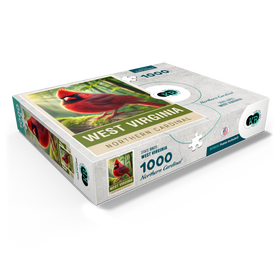 1000