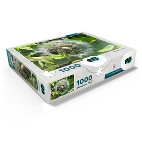 1000