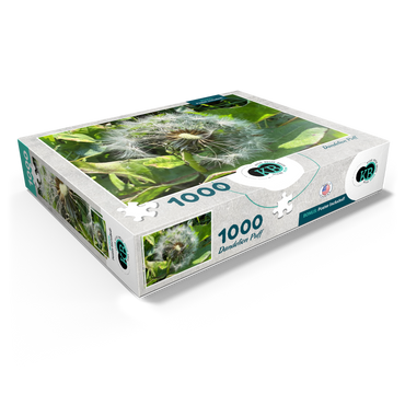 Macro Photography: Dandelion Puff, no.1 1000 Jigsaw Puzzle box view1