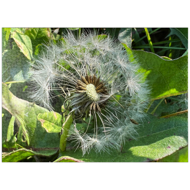 puzzleplate Macro Photography: Dandelion Puff, no.1 1000 Jigsaw Puzzle