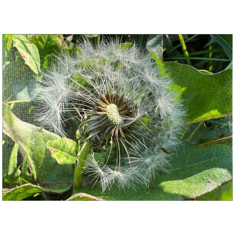 puzzleplate Macro Photography: Dandelion Puff, no.1 1000 Jigsaw Puzzle