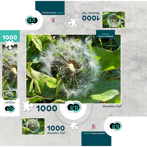 Macro Photography: Dandelion Puff, no.1 1000 Jigsaw Puzzle box 3D Modell