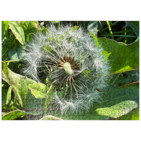 puzzleplate Macro Photography: Dandelion Puff, no.1 500 Jigsaw Puzzle