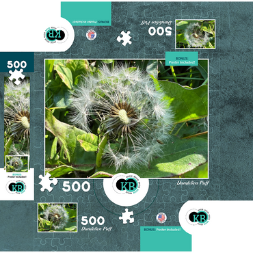 Macro Photography: Dandelion Puff, no.1 500 Jigsaw Puzzle box 3D Modell
