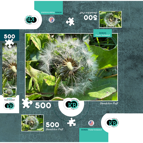 Macro Photography: Dandelion Puff, no.1 500 Jigsaw Puzzle box 3D Modell