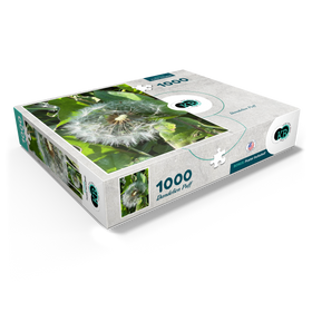 1000