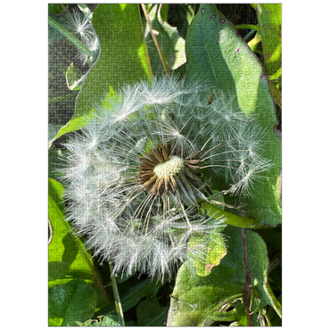 puzzleplate Macro Photography: Dandelion Puff, no.2 1000 Jigsaw Puzzle