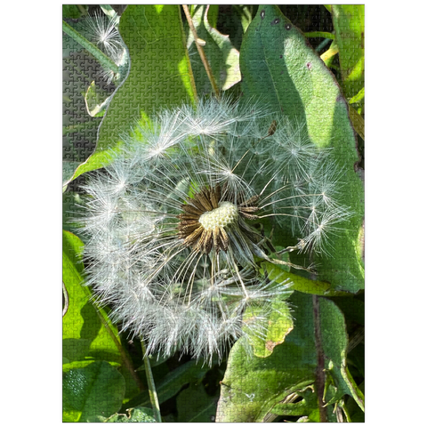 puzzleplate Macro Photography: Dandelion Puff, no.2 1000 Jigsaw Puzzle
