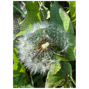 puzzleplate Macro Photography: Dandelion Puff, no.2 500 Jigsaw Puzzle