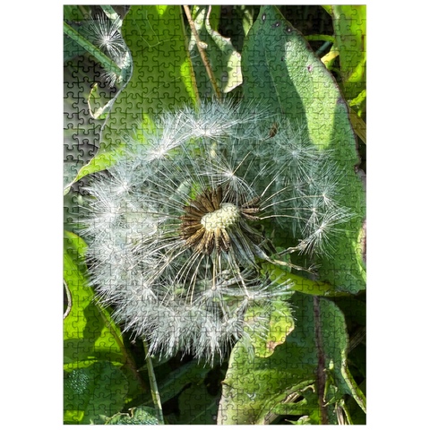 puzzleplate Macro Photography: Dandelion Puff, no.2 500 Jigsaw Puzzle