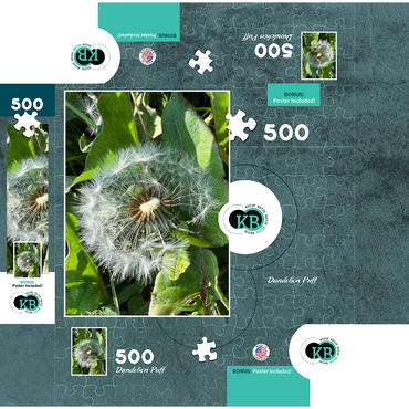 Macro Photography: Dandelion Puff, no.2 500 Jigsaw Puzzle box 3D Modell