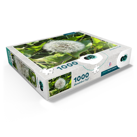 1000