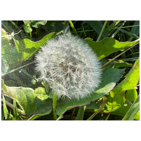 puzzleplate Macro Photography: Dandelion Puff, no.3 1000 Jigsaw Puzzle