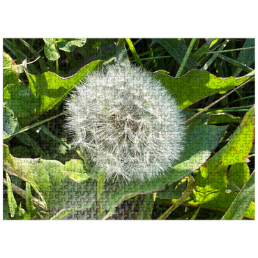 puzzleplate Macro Photography: Dandelion Puff, no.3 500 Jigsaw Puzzle