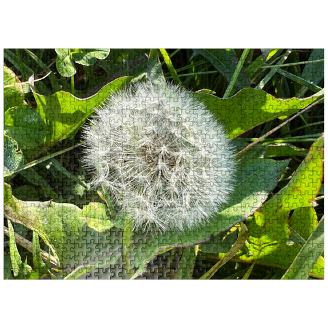 puzzleplate Macro Photography: Dandelion Puff, no.3 500 Jigsaw Puzzle