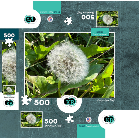 Macro Photography: Dandelion Puff, no.3 500 Jigsaw Puzzle box 3D Modell