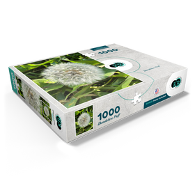 1000