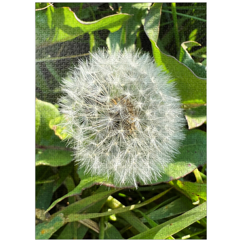 puzzleplate Macro Photography: Dandelion Puff, no.4 1000 Jigsaw Puzzle