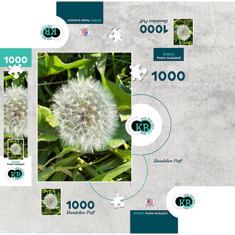 Macro Photography: Dandelion Puff, no.4 1000 Jigsaw Puzzle box 3D Modell