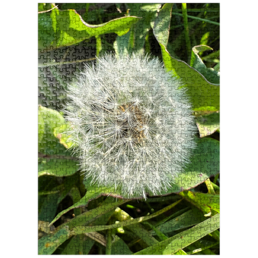 puzzleplate Macro Photography: Dandelion Puff, no.4 500 Jigsaw Puzzle