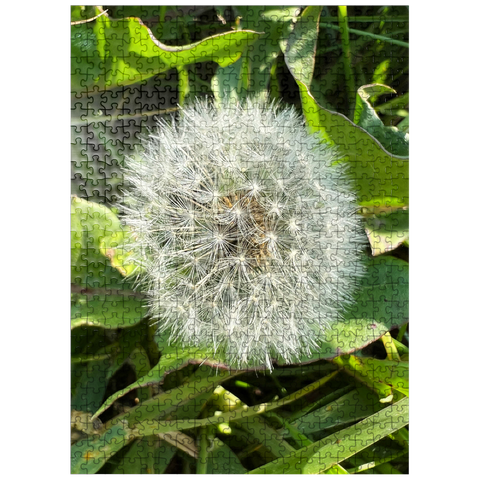 puzzleplate Macro Photography: Dandelion Puff, no.4 500 Jigsaw Puzzle