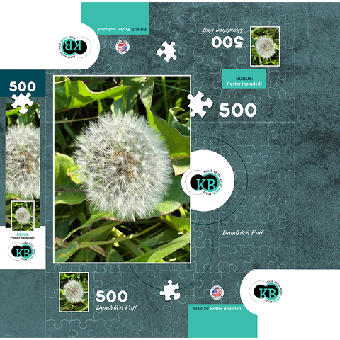 Macro Photography: Dandelion Puff, no.4 500 Jigsaw Puzzle box 3D Modell