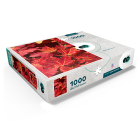 1000