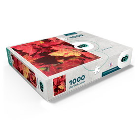 1000