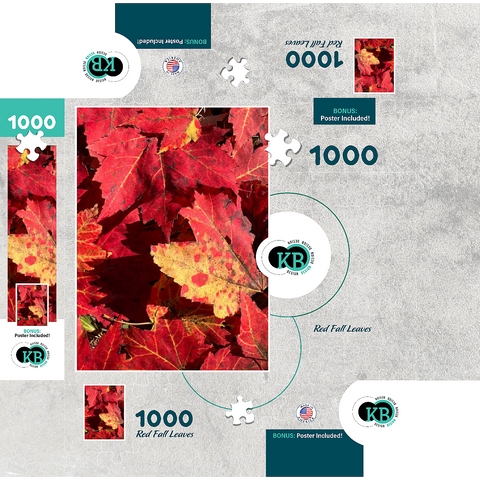 Macro Photography: Red Fall Leaves, no.2 1000 Jigsaw Puzzle box 3D Modell