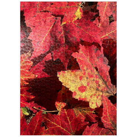 puzzleplate Macro Photography: Red Fall Leaves, no.2 500 Jigsaw Puzzle